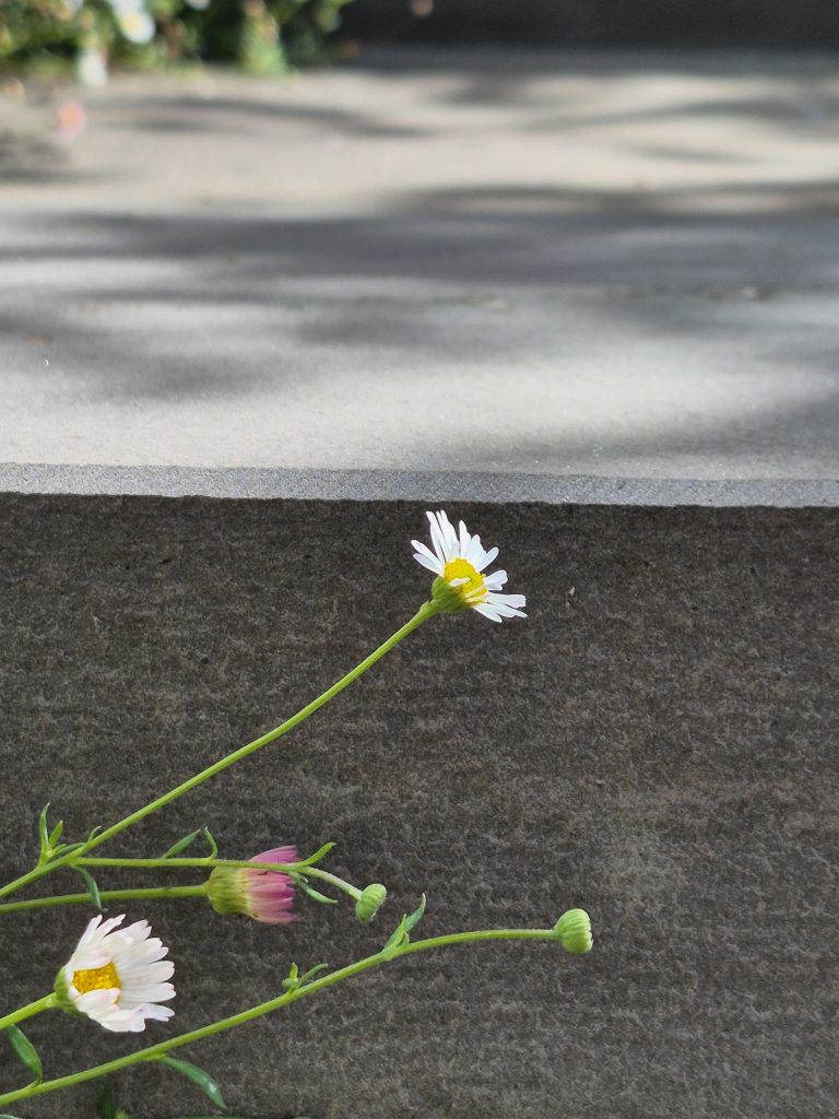 Markus Lüsse, Freiraum, Außenflächen, Parkanlagen, KITAS, Schulen, Außenplätze, www.freiraumplaner.org