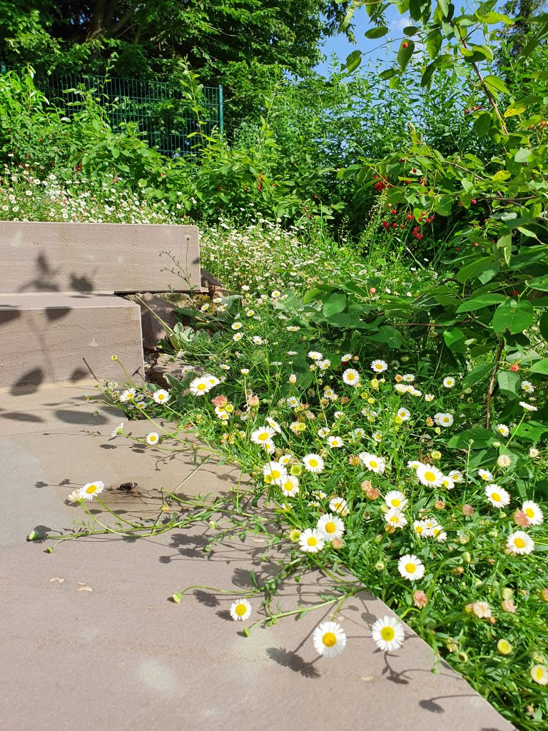 Markus Lüsse, ansprechende Gestaltung von Garten und Freiraum, www.freiraumplaner.org